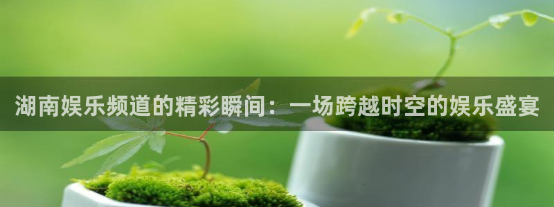 门徒娱乐官网首页：湖南娱乐频道的精彩瞬间：一场跨越时空的娱乐盛宴