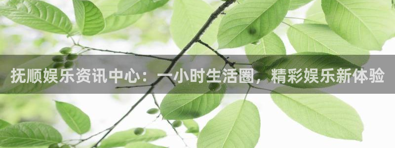 门徒娱乐：抚顺娱乐资讯中心：一小时生活圈，精彩娱乐新体验