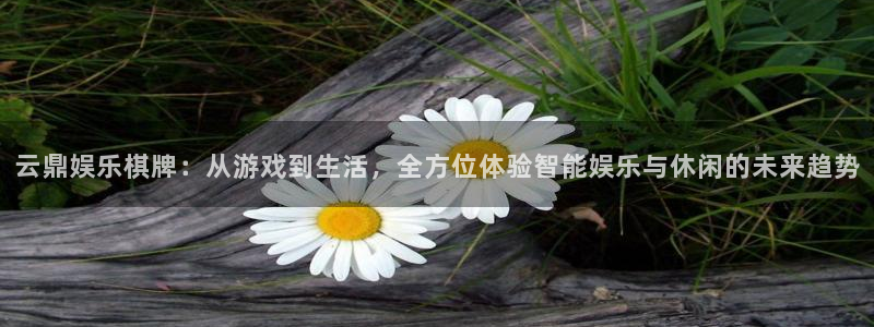 门徒娱乐彩票最新官网：云鼎娱乐棋牌：从游戏到生活，全方位体验智能娱乐与休闲的未来趋势