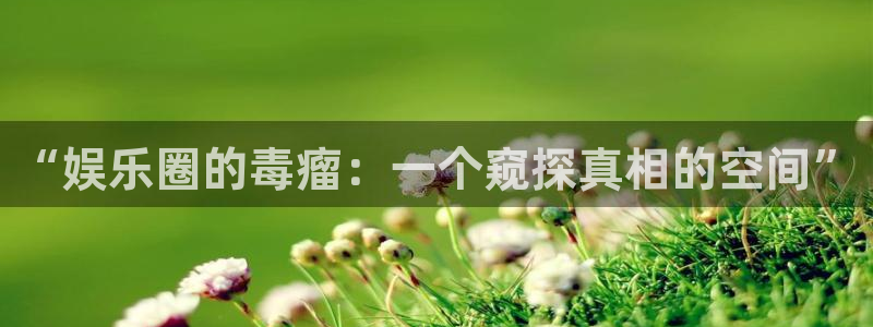 门徒平台登录地址：“娱乐圈的毒瘤：一个窥探真相的空间”